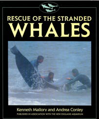 Rescue of the Stranded Whales
