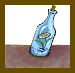Flower in bottle