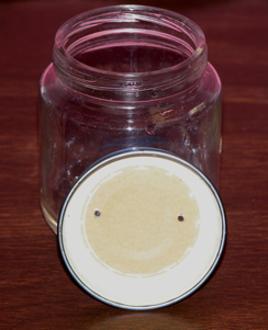 Babyfood jar with lid and two holes