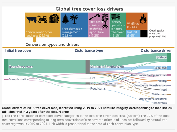 Global tree loss drivers
