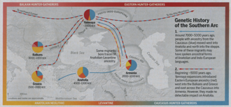 Genetic history sourthern arc