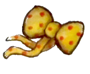 Bow