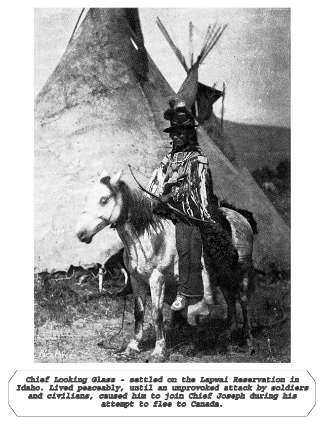Chief Looking Glass image