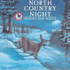 North Country Night