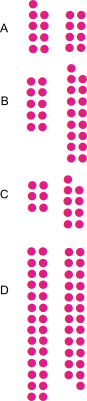 Polka dot pairs
		