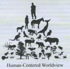 Human centered world view image