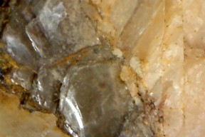 Mica 50x