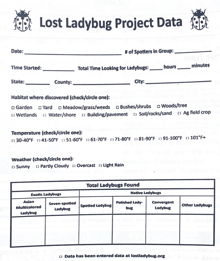 Lady Bug Project Sample Form