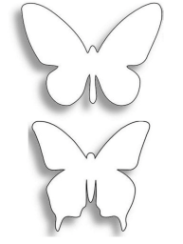 Small moth pattern